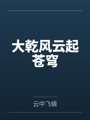 大乾风云起苍穹封面
