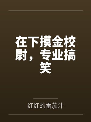在下摸金校尉，专业搞笑封面