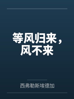 等风归来，风不来封面