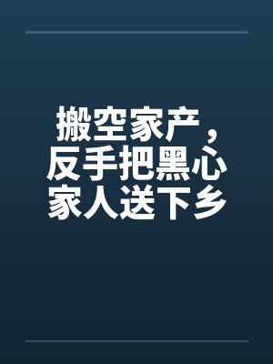 搬空家产，反手把黑心家人送下乡封面
