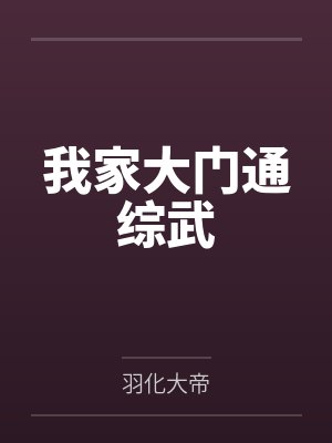 我家大门通综武封面