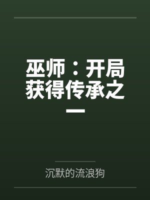 巫师开局获得鉴定术封面