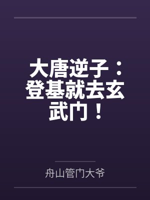大唐逆子李承风封面
