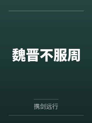 魏晋不服周封面