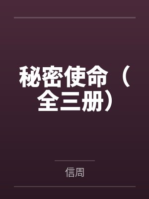 小说秘密使命封面