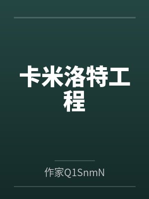 卡米洛特工程封面