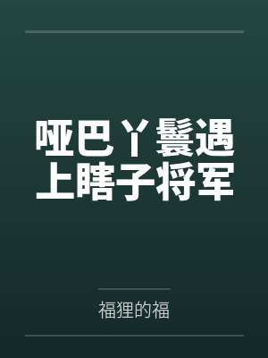 哑巴丫鬟遇上瞎子将军封面
