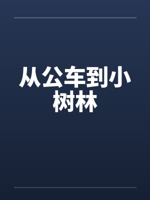 从公车到小树林封面