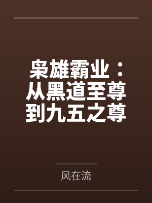 枭雄霸业小说封面