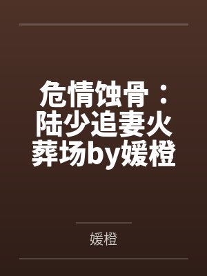 危情蚀骨：陆少追妻火葬场by媛橙颜晚南封面