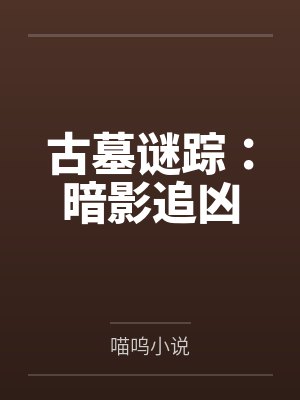 古墓谜踪：暗影追凶封面