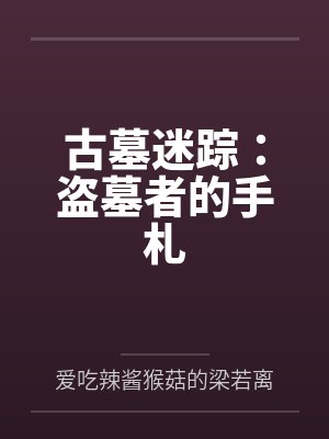古墓迷踪：盗墓者的手札封面