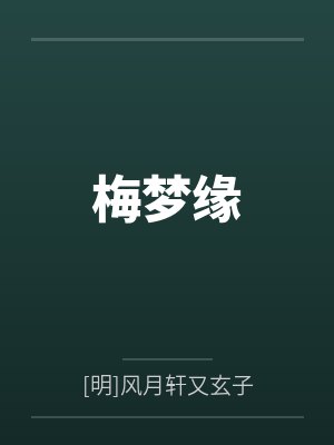 梅梦缘封面
