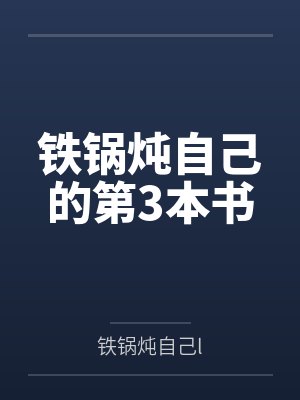 铁锅炖自己的第3本书封面