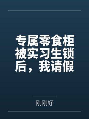 零食柜子图片大全真实封面