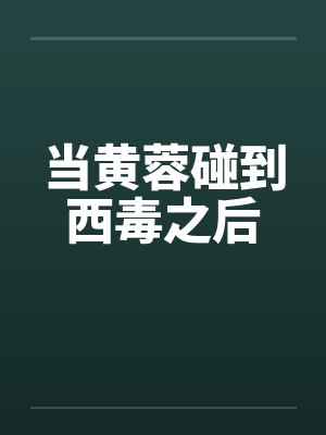 当黄蓉碰到西毒之后封面