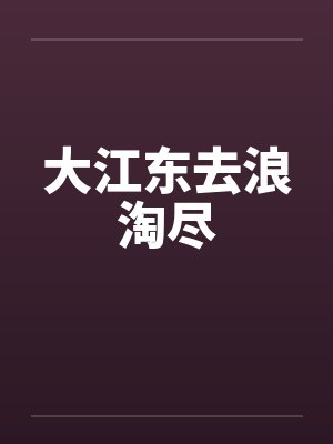 大江东去浪淘尽封面