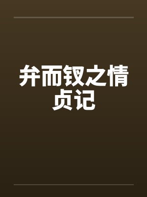 弁而钗之情贞记封面
