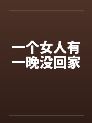 一个女人有一晚没回家封面