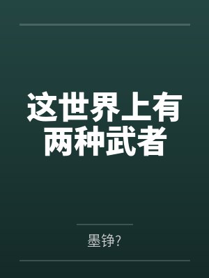 这世界上有两种武者封面
