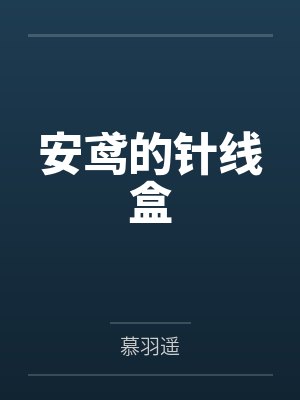 安鸢的针线盒封面