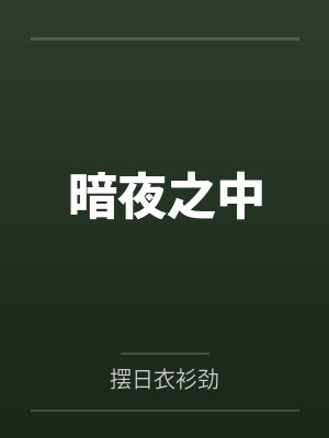暗夜之中封面