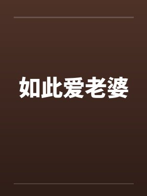 如此爱老婆封面