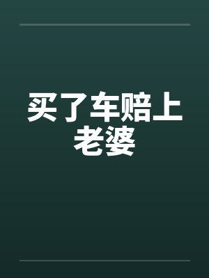 买了车赔上老婆封面