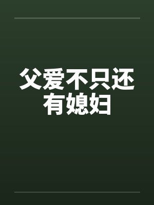 父爱不只还有媳妇封面