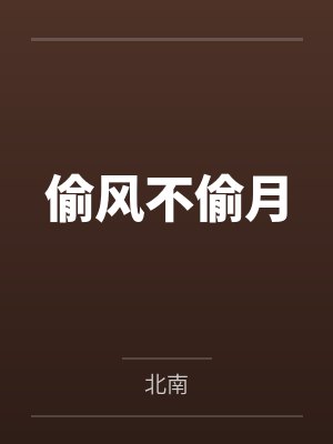 偷风不偷月封面