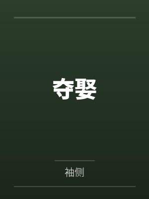 夺娶封面