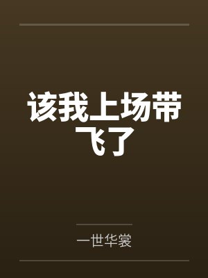 该我上场带飞了封面