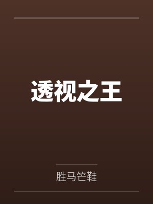 透视之王封面