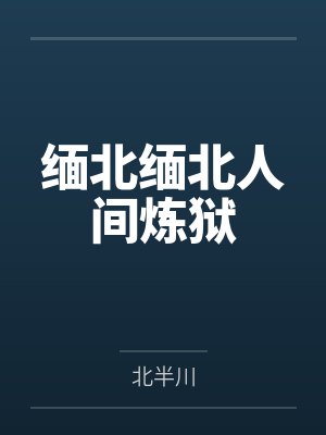 缅北缅北人间炼狱封面