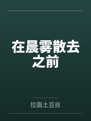 在晨雾散去之前封面