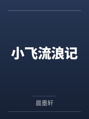 小飞流浪记封面