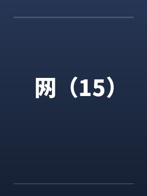 网（15）封面