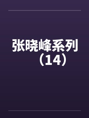 张晓峰系列（14）封面