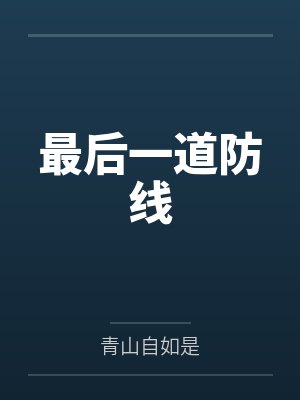 最后一道防线封面