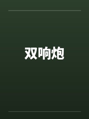 双响炮封面