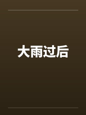 大雨过后封面