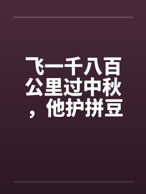 飞一千八百公里过中秋，他护拼豆挂件不护我封面