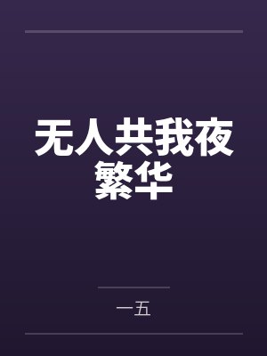无人共我夜繁华封面