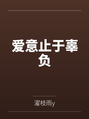 爱意止于辜负封面