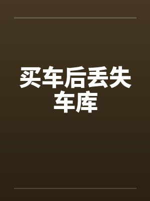 买车后丢失车库封面