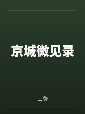 京城微见录封面