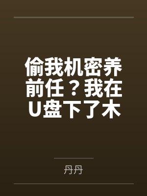 偷我机密养前任？我在U盘下了木马封面
