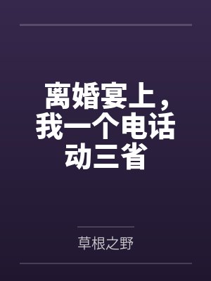 离婚宴上，我一个电话动三省封面