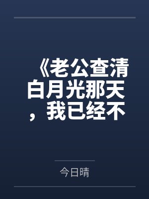 《老公查清白月光那天，我已经不爱他了》封面