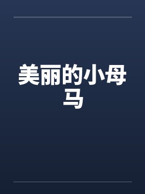 美丽的小母马封面